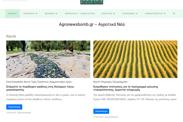 εταιρεια digital marketin webnest case study news website planner